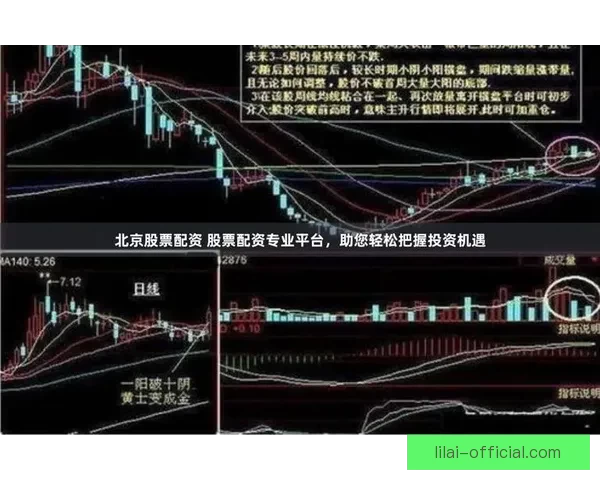 世界杯跟单策略全解析 玩转投注技巧提升收益 轻松把握赛事机会